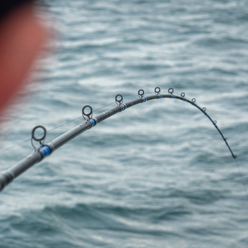 Daiwa Saltist Boat Rods - £164.99